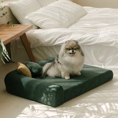 펫더팬 강아지 고양이 침대 쇼파, 에메랄드 그린, 1개