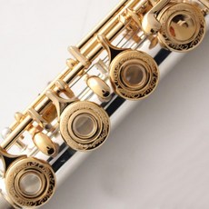 올골드플룻가격