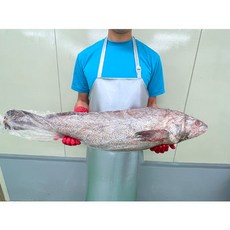 자연산민어(횟감 숫치 )5kg한마리 손질여부 옵션선택, 통째로, 1개