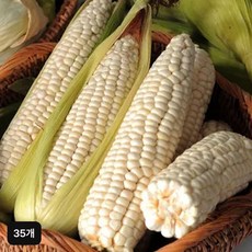 강원도 영월 미백찰옥수수 35개