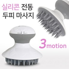 두피마사지진동