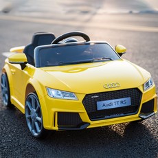 아우디푸쉬카캐노피