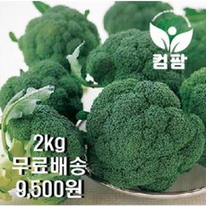 <컴팜>브로콜리/2kg/4kg/8kg, 8kg(15~26수)