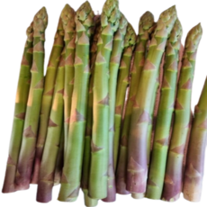 생아스파라거스 아삭한 아스파라거스 특수야채, 1개, 500g