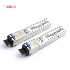 cisco100g모듈
