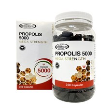 마더네스트 프로폴리스 5000 250캡슐 + 호주 프로폴리스 스프레이 수량별 증정