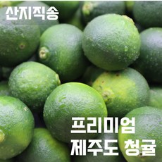 [명품] 제주도 (농장직송) 정품 청귤 최상급 2kg / 3kg / 5kg / 10kg, 1개, 정품10kg