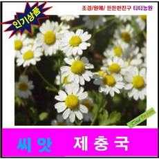 a16fb6b020af560a0327ca7ce0390cf43a8f3ab8c905f88b2ae2939f9d9a.jpeg