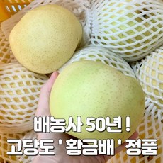 서생배종류