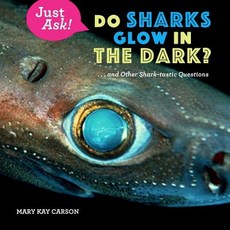 Do Sharks Glow in the Dark?: . . . and Other Shark-Tastic Questions Hardcover, Sterling Children's Books