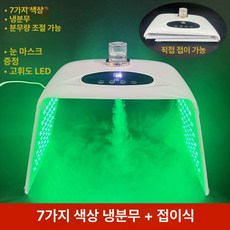 롄니랜드 화이트태닝기계 관리 페이스 얼굴케어 LED, 7색 냉 스프레이+접이식, 기본 모델명/품번