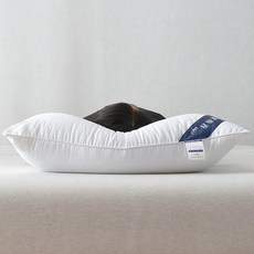 임산부바디필로우 호텔 모텔 베게 48x74cm성인베개 가정용 세척 순면 우단베게 칩싱글용 한쌍, T01-낮은베개-한쌍