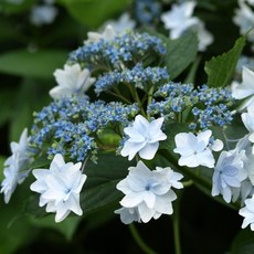 74d2d94ded88ca0cc141c66dcc1d8ee29f535f282358f3f39f42b05493f0.jpg