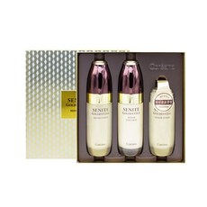 쵸이스셀테라피