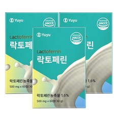 유유제약 락토페린 정, 60정, 3박스