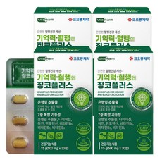 손발저림영양제 은행잎(징코빌로바)추출물150mg 메모리 혈행건강 손발저림 혈행건강 기억력개선 갱년기 건강관리 30정 4개