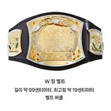 wwe챔피언벨트 프로 챔피언굿즈 ufc벨트 복싱 레슬링