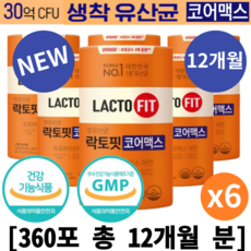 락토핏 TOP01