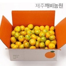 깨비농원 고당도 하우스귤 4.5kg, 4.5kg 소과