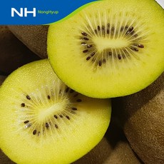 [순천농협] 국내산 순천 골드키위 정품 / 실속형 2kg, 1박스, 2kg(24과 내외)
