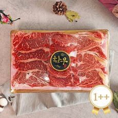 [순천참한우유통] 1++구이1호 1.2kg (등심600g+안심300g+채끝300g), 상세 설명 참조