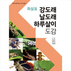 화살표 강도래·날도래·하루살이 도감 + 미니수첩 증정, 정광수, 자연과생태