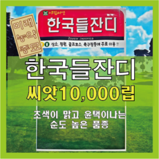 [23년산 국내생산] 잔디 씨앗/한국들잔디 - 만립(10000립) - 산소용 정원용 골프장용 축구장용, 1개