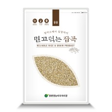 납작보리10kg