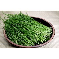 [산지직송] 국내산 싱싱한 부추 당일수확, 1박스, 4kg