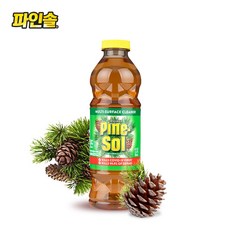 솔클린트