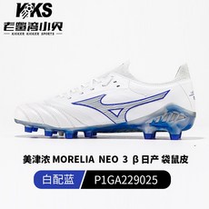 모렐리아네오3베타