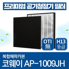ap-1009jh