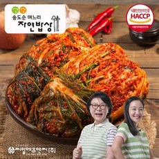 송도순김치10kg