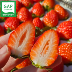 GAP인증 농장직송 고당도 설향 딸기 특품, 1박스, 특품 1.5kg 내외(48-70과)