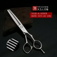미용양날가위