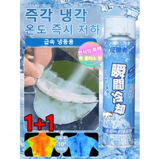 1+1/2+2 차내 냉각 스프레이 급속 결빙 자동차용 스프레이 여름 실내 순간 냉각 냉각 스프레이, 260ml*2+2, 투명