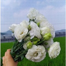 eb7e0b6af5a1008d14d855f17b1bf3ab18f3dcc53d19fe72c70ddab3ffbb.jpg