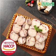 영광농협 암소한우 우족세트 3kg 선물세트, 1개