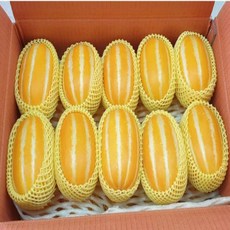 성주참외당도보장10kg