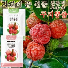 케이셀러 간에좋은즙 꾸지뽕즙 무농약 유기농 구지뽕즙 구찌뽕즙 100ml 60포, 60개입, 100ml(일반형) 1박스