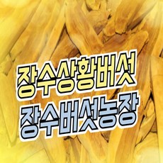 [장수버섯농장] 국내산 최상품 장수 상황버섯 200g, 상황버섯 원형, 1개