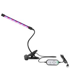 햇빛아래식물등