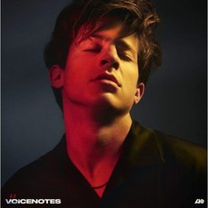 찰리푸스 Charlie Puth - Voicenotes 바이닐 LP