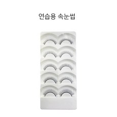 연습용속눈썹