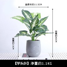 8d0e30124ae25bbb9cb74da5c14780d104d518d02855826e80658de3c27a.jpg