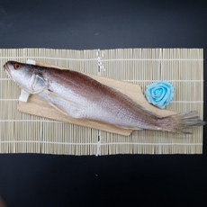 영신수산