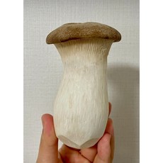 [새벽농수산] 경북 김천 새송이 버섯 파지X 미니X선물용 식자재 미니 업소용 요리 반찬 볶음 장조림 레시피 집반찬, 1박스, 특상 6kg