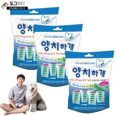 양치하개 덴탈케어 스케일링 유산균 14p 24p 강아지 양치 덴탈껌, 3개, 유산균 14p (210g) - 양치하개