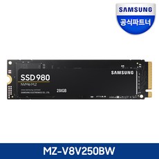 삼성전자 공식인증 SSD 980시리즈 250GB/500GB/1TB MZ-V8V250BW MZ-V8V500BW MZ-V8V1T0BW 정품, 250GB