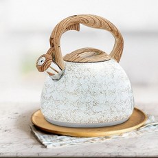 인덕션 주전자 감성 캠핑 법랑 찻주전자 모던 스텐 2.8L, CN, 화이트, 1개